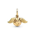 Charm Quidditch Harry Potter